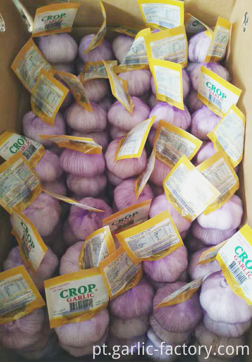 Hot sale garlic in china is jinxiang county garlic ,Garlic from Jinxiang，Planting garlic for decades，Have enough experience to control the quality of garlic products。Make sure people eat garlic healthily.